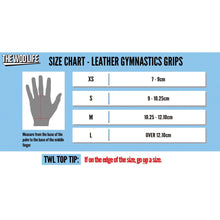 Load image into Gallery viewer, The WOD Life - Leather Gymnastics Grips - Black
