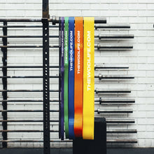 Load image into Gallery viewer, TWL - 41&quot; Resistance Power Band - Extra Large - Blue
